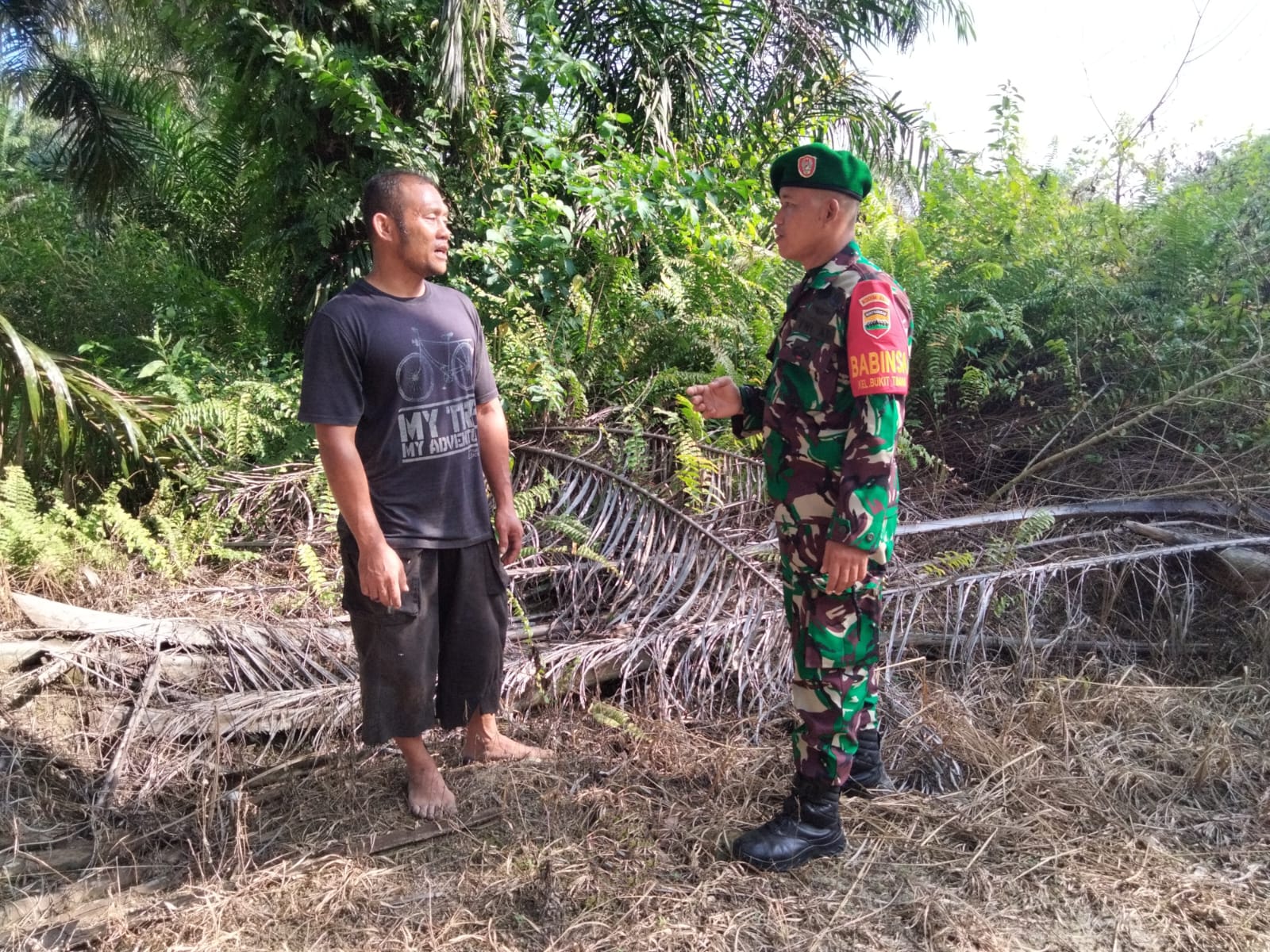 Babinsa Koramil 01/Dumai Gelar Patroli Karhutla dan Dampingi Petani Jeruk Nipis