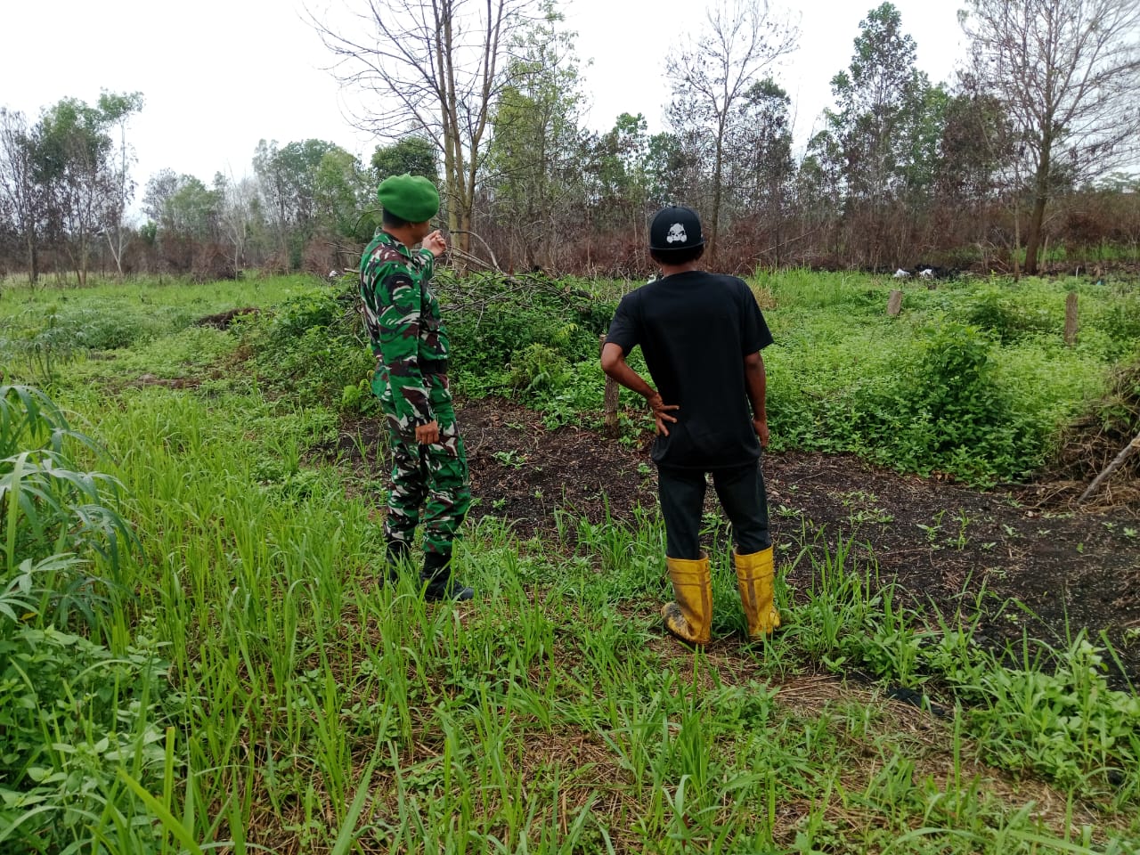 Babinsa Koramil 01/Dumai Gelar Patroli Karhutla dan Pendampingan Petani untuk Cegah Kebakaran Lahan