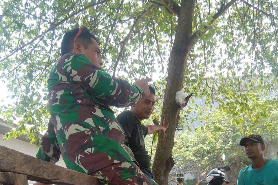 Babinsa Koramil 01/Dumai Laksanakan Patroli Karhutla dan Pendampingan Penanaman Cabai Rawit