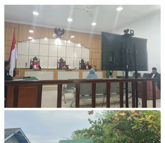 Palsukan Dokumen Tanah, Inong Fitriani Divonis 7 Bulan Penjara oleh PN Dumai