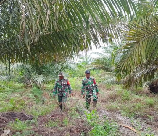 Babinsa Koramil 02/BK Sosialisasi Karhutla, Ingatkan Warga Teluk Makmur Jangan Buka Lahan dengan Membakar