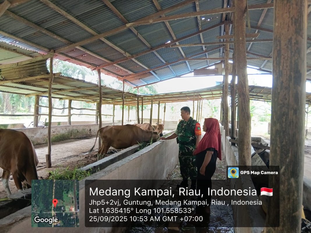IMG-20250925-WA0097