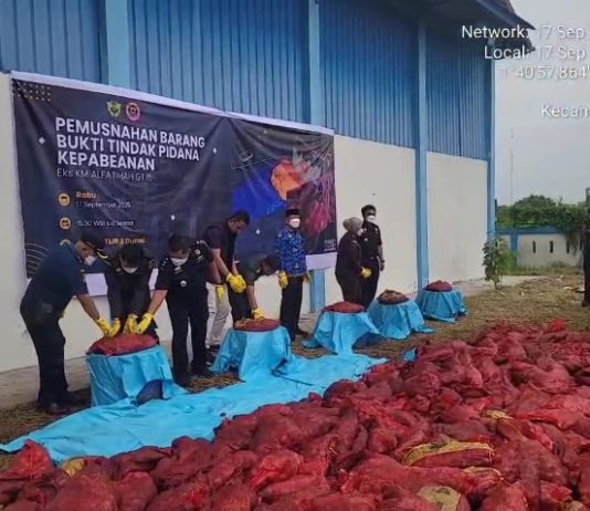 Bea Cukai Dumai Musnahkan 24 Ton Bawang Ilegal Asal Malaysia