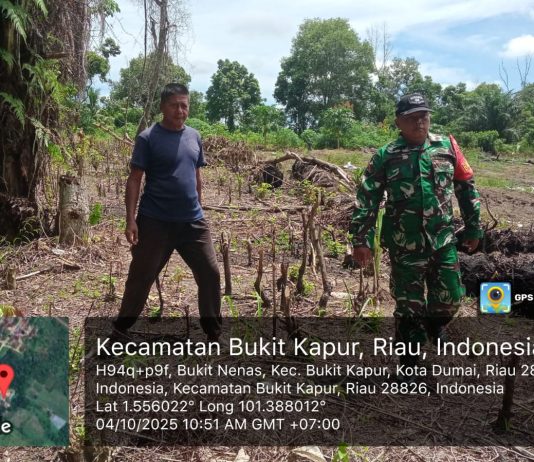 Cegah Karhutla, Babinsa Bagan Besar Gencarkan Patroli dan Sosialisasi ke Warga