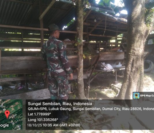 TNI Bersama Warga Jaga Kesehatan Hewan Ternak, Babinsa Tanjung Penyebal Lakukan Pemantauan PMK