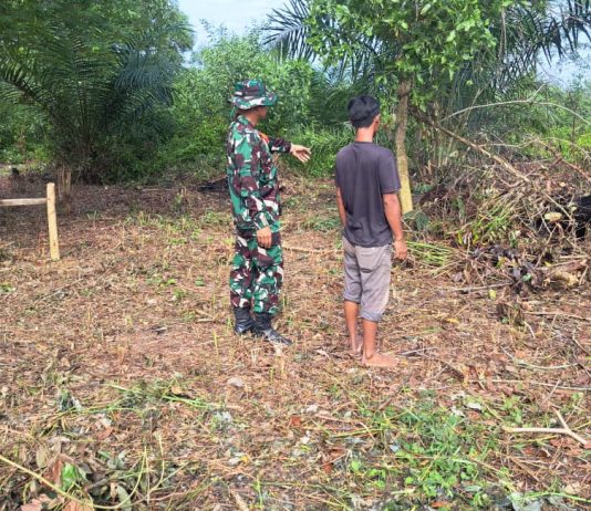 Babinsa Bukit Datuk Dampingi Warga Tanam Ubi Cilembu Sekaligus Sosialisasi Cegah Karhutla