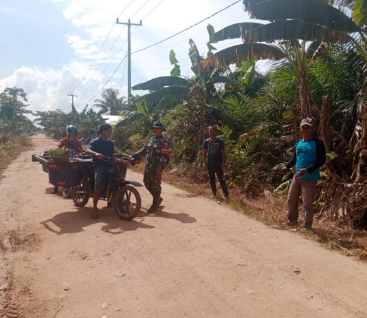 Babinsa Sungai Geniot Serda Bambang Gencarkan Patroli dan Sosialisasi Cegah Karhutla di Kecamatan Sungai Sembilan