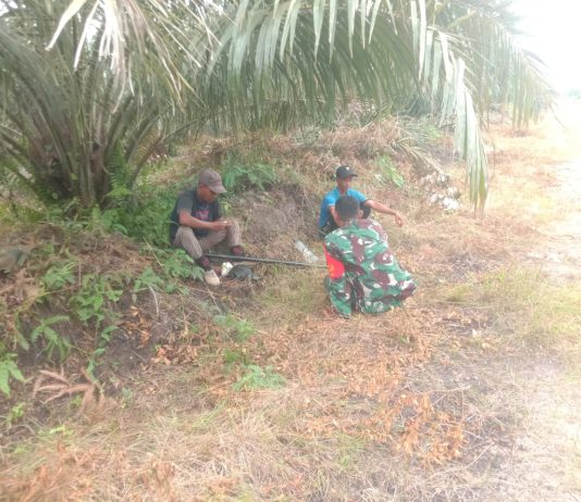 Babinsa Mundam Sertu Ramli Bergerak Cepat Laksanakan Patroli dan Sosialisasi Cegah Karhutla di Medang Kampai