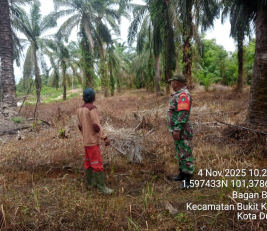 Cegah Karhutla, Babinsa Koramil 02/Bukit Kapur Ajak Warga Jaga Lingkungan