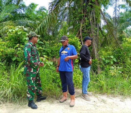 Babinsa Lubuk Gaung Gencarkan Patroli dan Sosialisasi Cegah Karhutla
