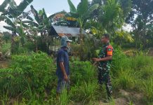 Babinsa Bangsal Aceh Gencarkan Patroli dan Pendampingan Warga Cegah Karhutla
