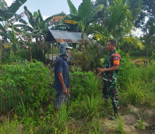 Babinsa Bangsal Aceh Gencarkan Patroli dan Pendampingan Warga Cegah Karhutla