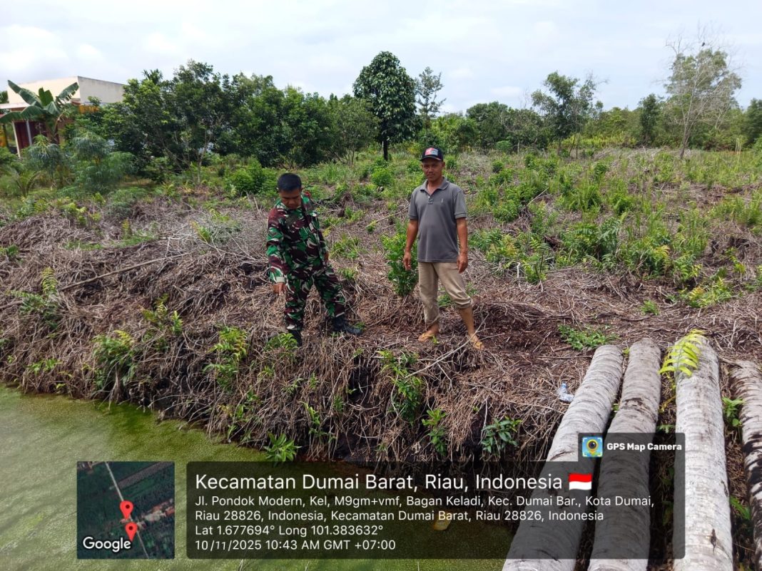 IMG-20251114-WA0051