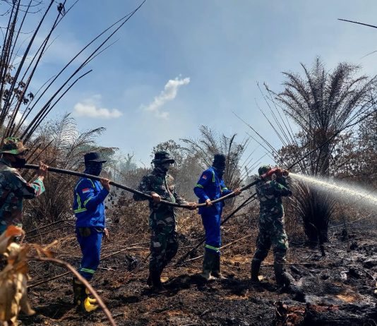“Kodim 0320/Dumai Terjunkan 51 Personel Gabungan Lanjutkan Pendinginan Karhutla di Dumai Timur”