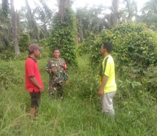 Wilayah Rawan Gambut, Babinsa Koramil 03/Sungai Sembilan Gencarkan Patroli dan Edukasi Karhutla