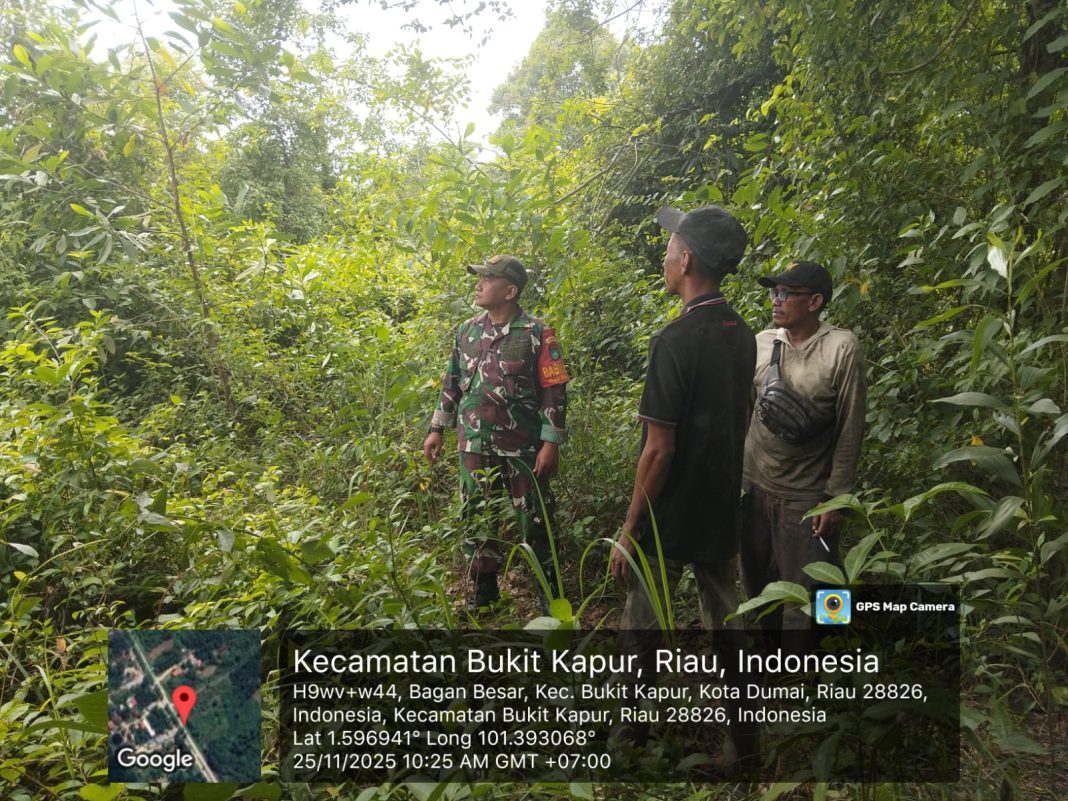 IMG-20251125-WA0068