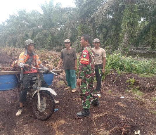 Cegah Karhutla, Koramil 03/Sungai Sembilan Patroli Area Rawan di Kecamatan Sungai Sembilan