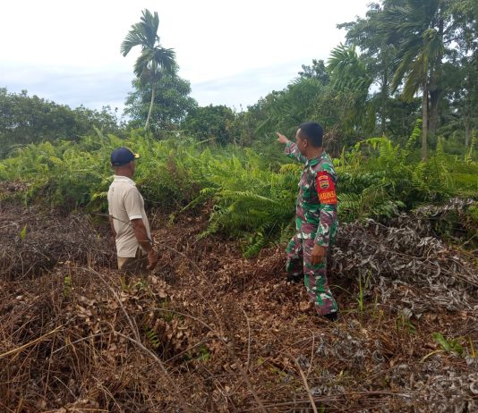 Babinsa Bagan Keladi Laksanakan Patroli Karhutla dan Pendampingan Tanaman Sawi untuk Dukung Ketahanan Pangan Warga