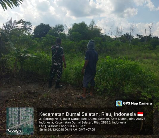 Babinsa Koramil 01/Dumai Serka Abu Kasim Litiloly Gelar Patroli Karhutla dan Pendampingan Tanaman Kacang Panjang di Bukit Datuk