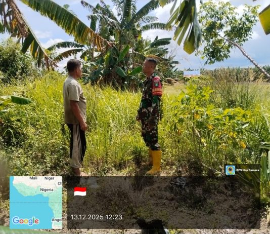 Babinsa Koramil Sungai Sembilan Laksanakan Patroli Karhutla di Kelurahan Tanjung Penyembal