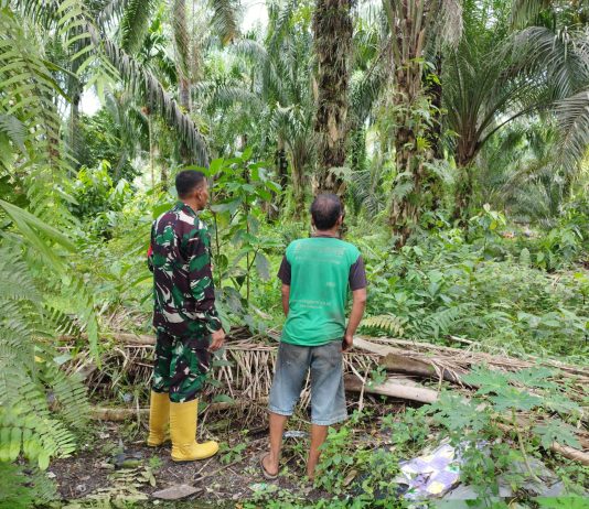 Cegah Karhutla, Babinsa Batu Teritip Gencarkan Patroli dan Sosialisasi kepada Warga