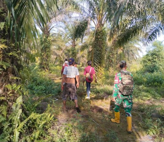 Cegah Karhutla, Babinsa Tanjung Penyembal Sisir Lahan Gambut Rawan