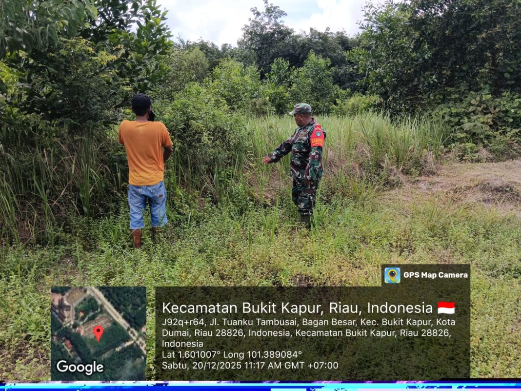 IMG-20251220-WA0074(1)