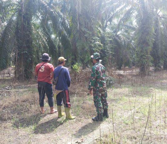 Babinsa Koramil 03/Sungai Sembilan Intensifkan Patroli Karhutla di Sungai Sembilan