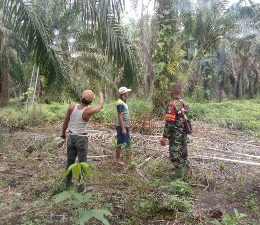 Babinsa Koramil 03/Sungai Sembilan Intensifkan Patroli Karhutla di Basilam Baru