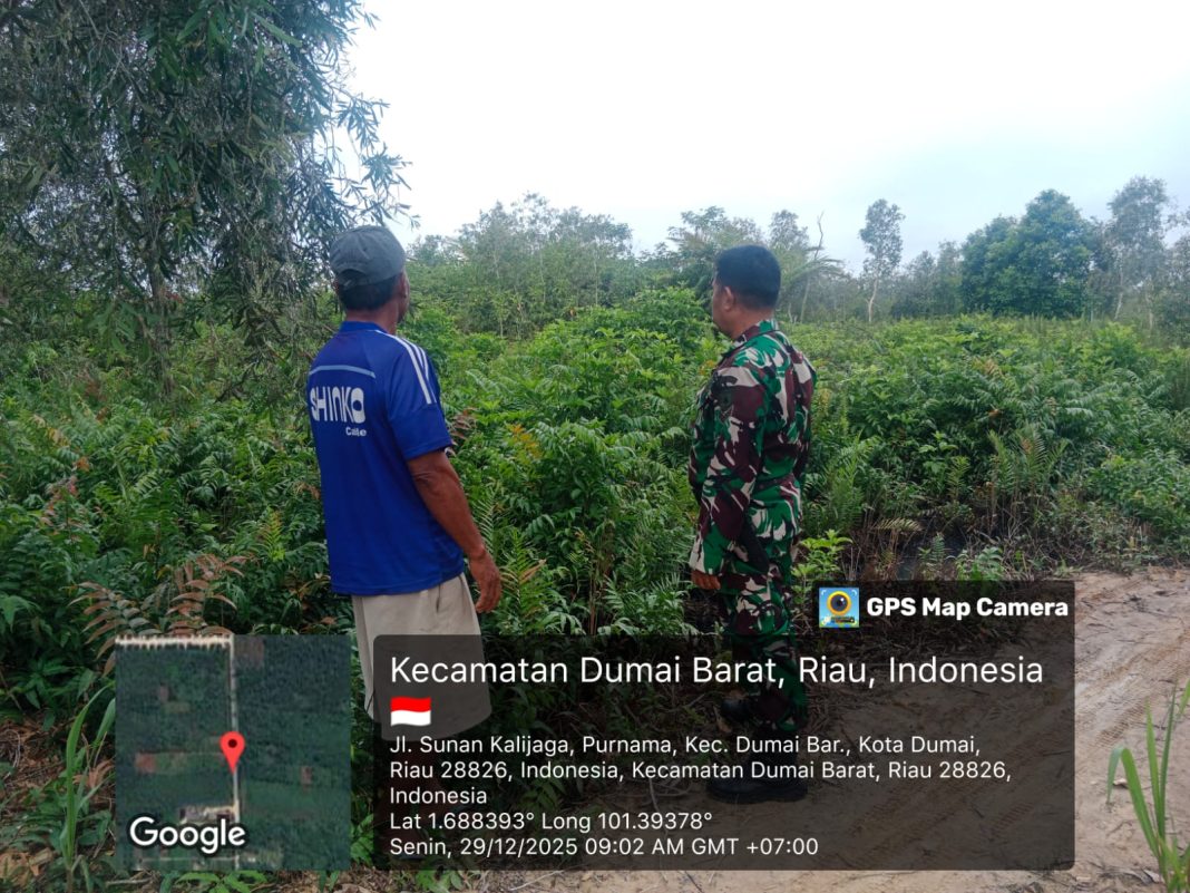IMG-20251230-WA0046