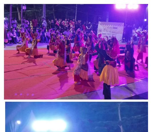 Hari Keenam Dufest Idaman 2025 Semakin Hidup, Ragam Tarian Daerah, Solo Song, dan Games Hibur Pengunjung