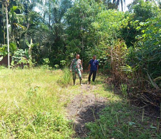 Babinsa Bagan Keladi Padukan Patroli Karhutla dan Pendampingan Pertanian Warga