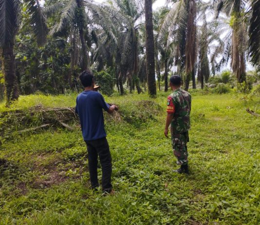 Cegah Karhutla, Babinsa Koramil 03/Sungai Sembilan Gencarkan Patroli dan Sosialisasi di Lubuk Gaung