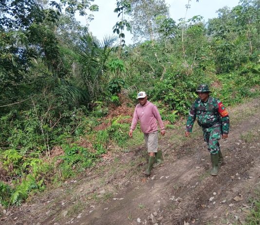 Antisipasi Karhutla, Babinsa Koramil 02/Bukit Kapur Patroli dan Sosialisasi ke Warga