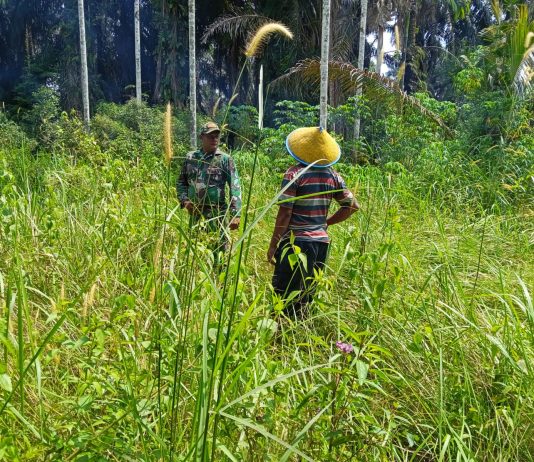 Babinsa Koramil 03/Sungai Sembilan Laksanakan Patroli dan Sosialisasi Karhutla di Lubuk Gaung