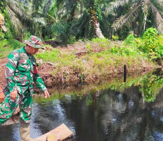 Babinsa Koramil 03/Sungai Sembilan Gencarkan Patroli dan Sosialisasi Cegah Karhutla di Lubuk Gaung
