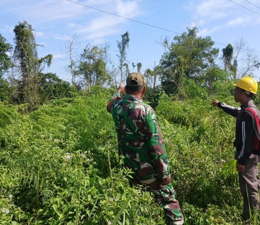 Cegah Karhutla, Babinsa Sertu Misriyadi Gelar Patroli dan Sosialisasi di Pelintung