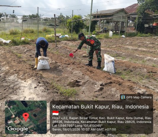 Cegah Karhutla, Babinsa Mundam Laksanakan Patroli dan Sosialisasi di Medang Kampai