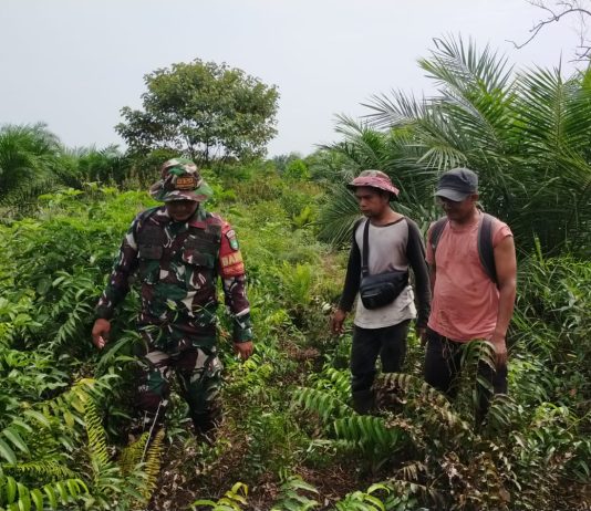 Babinsa Koramil 03/Sungai Sembilan Laksanakan Patroli dan Sosialisasi Karhutla di Bangsal Aceh