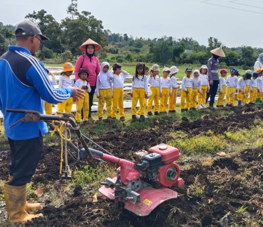 Kunjungan Tk Kemala Bhayangkari Ke Kawasan Agro Eduwisata Pertanian Terpadu, Ajak Anak-anak Kenali Dunia Pertanian