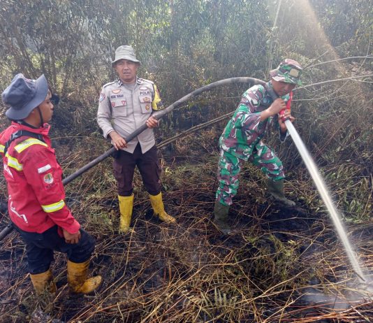 Kodim 0320/Dumai Bersama Unsur Terkait Laksanakan Pemadaman dan Pendinginan Karhutla di Bagan Keladi
