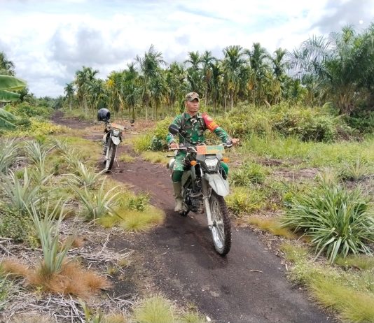 Babinsa Tanjung Penyembal Patroli Karhutla, Warga Diimbau Tidak Membakar Lahan