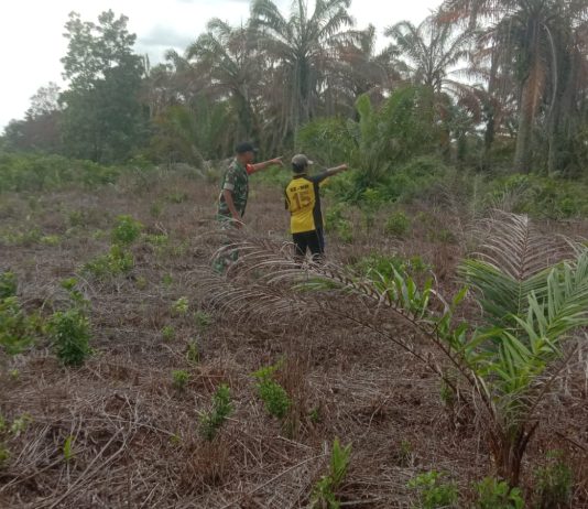Babinsa Mundam Intensifkan Patroli dan Sosialisasi Pencegahan Karhutla