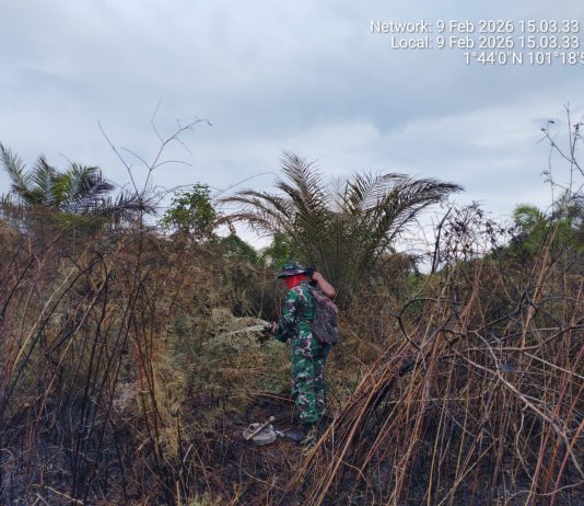 Babinsa Lubuk Gaung Lanjutkan Pendinginan Karhutla Hari Kedua di Sungai Sembilan