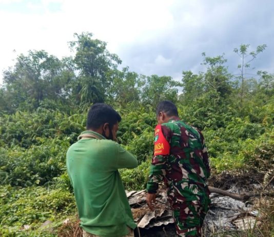 Babinsa Buluh Kasap Patroli Karhutla, Sosialisasi Banjir, dan Dampingi Petani Cabai