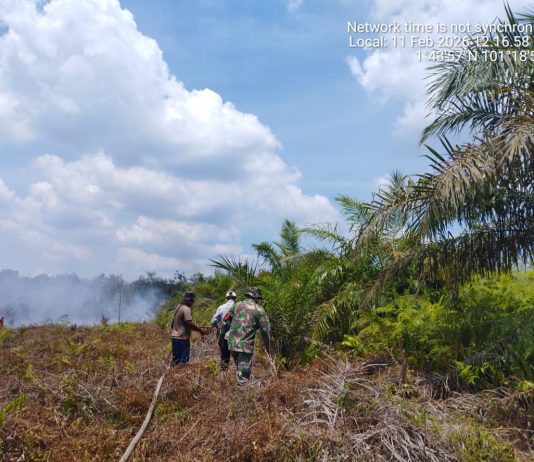 Hari Ketiga, Tim Gabungan Terus Padamkan Karhutla di Lubuk Gaung