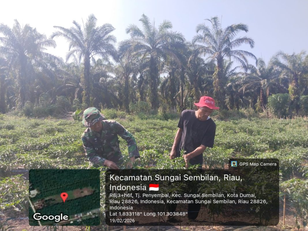 IMG-20260219-WA0074(1)