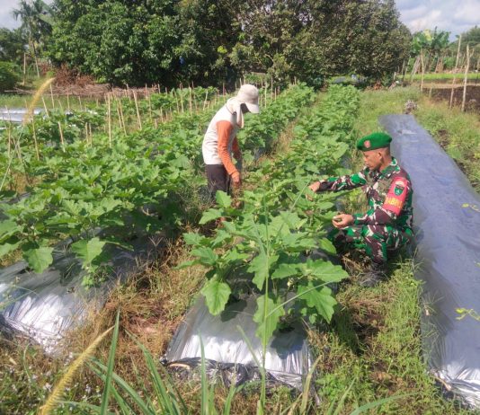 Babinsa Koramil 01/Dumai Melaksanakan Patroli Kebakaran