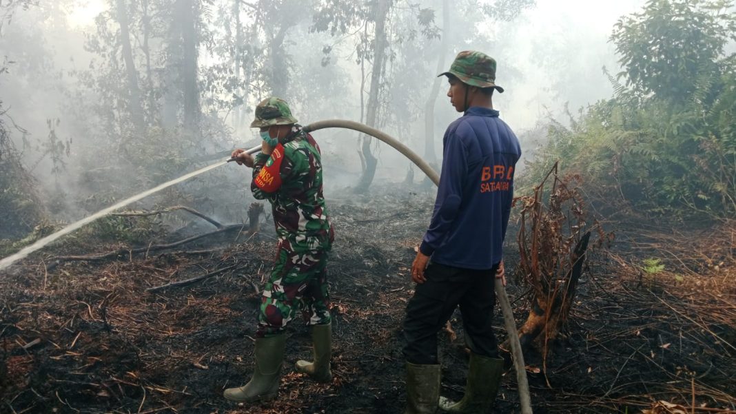 IMG-20260222-WA0047