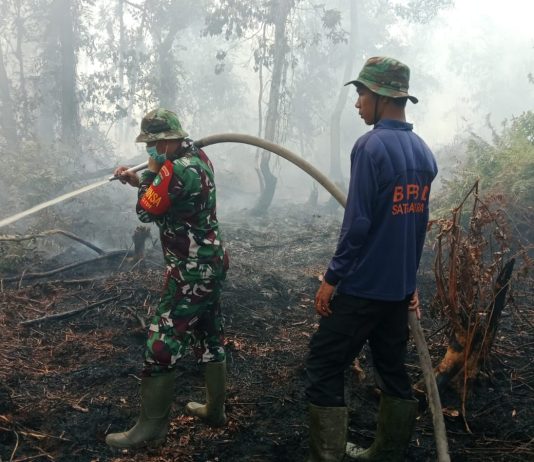 Pendinginan Karhutla di Dumai Barat Tuntas, Dandim 0320 Dumai Pastikan Api Padam Total